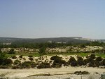 View of Golf Course